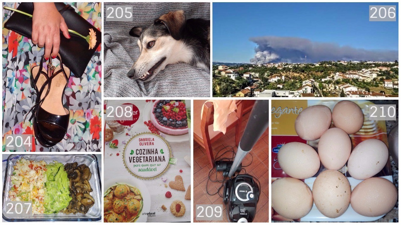 204 a 210.jpg 204 a 210.jpg