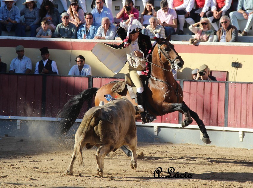 2 antonio telles.jpg