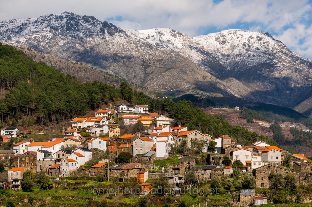 _DSC5402.jpg _DSC5402.jpg