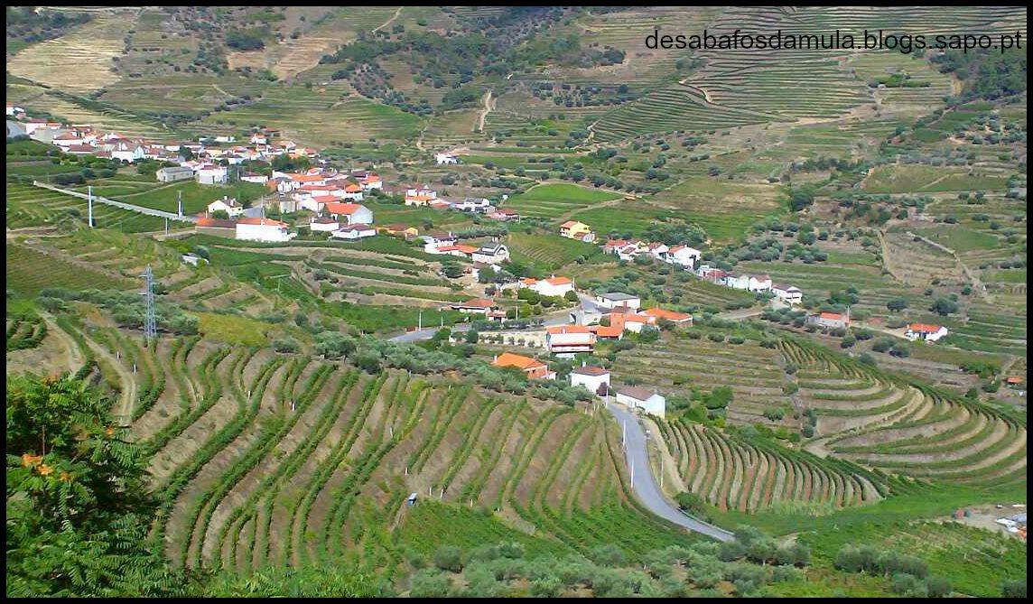 douro.jpg