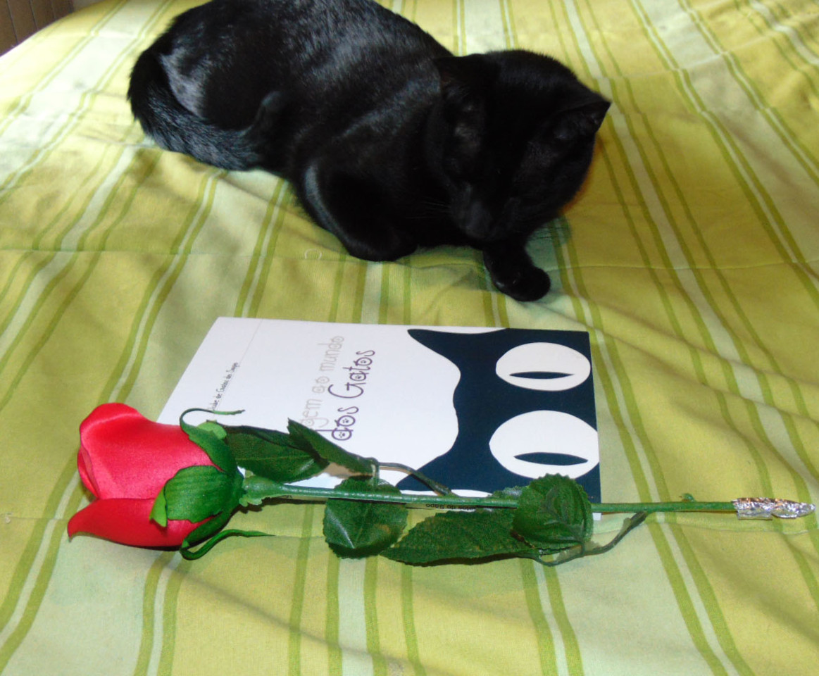 datinhas.JPG datinhas.JPG