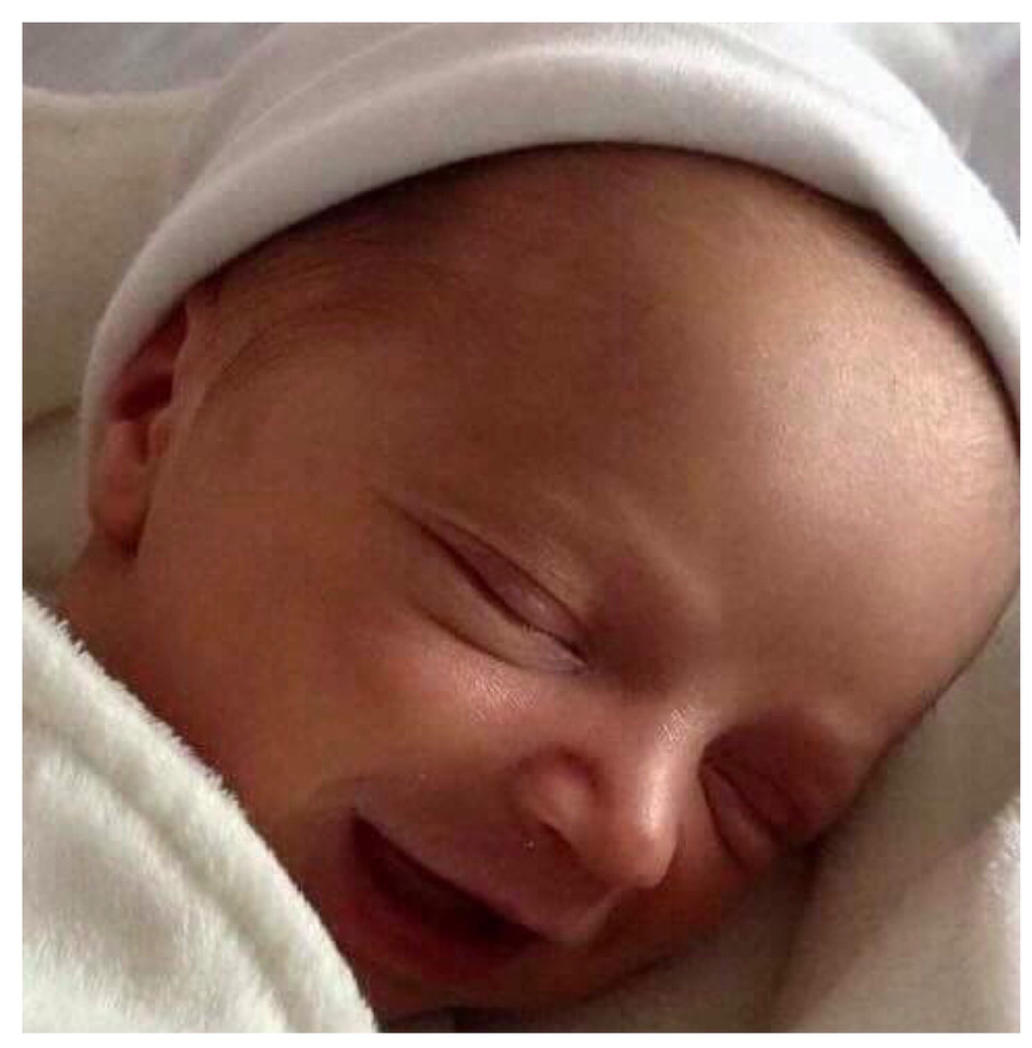 IMG_7752.JPG IMG_7752.JPG