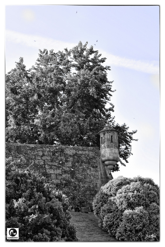DSC_0001a.jpg