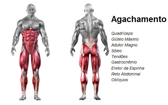 Agachamento (1).jpg Agachamento (1).jpg