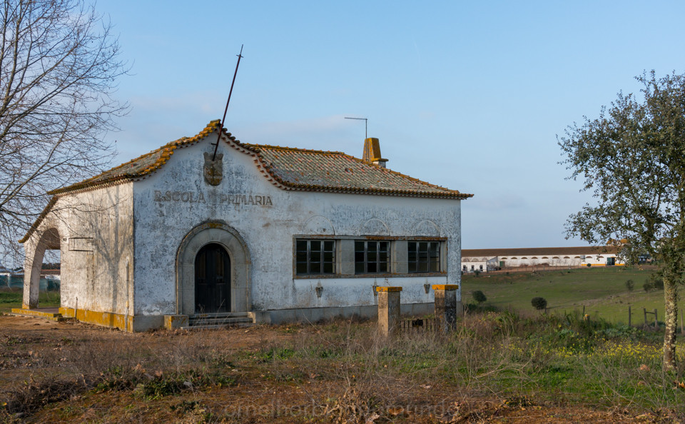 DSC08237.jpg DSC08237.jpg