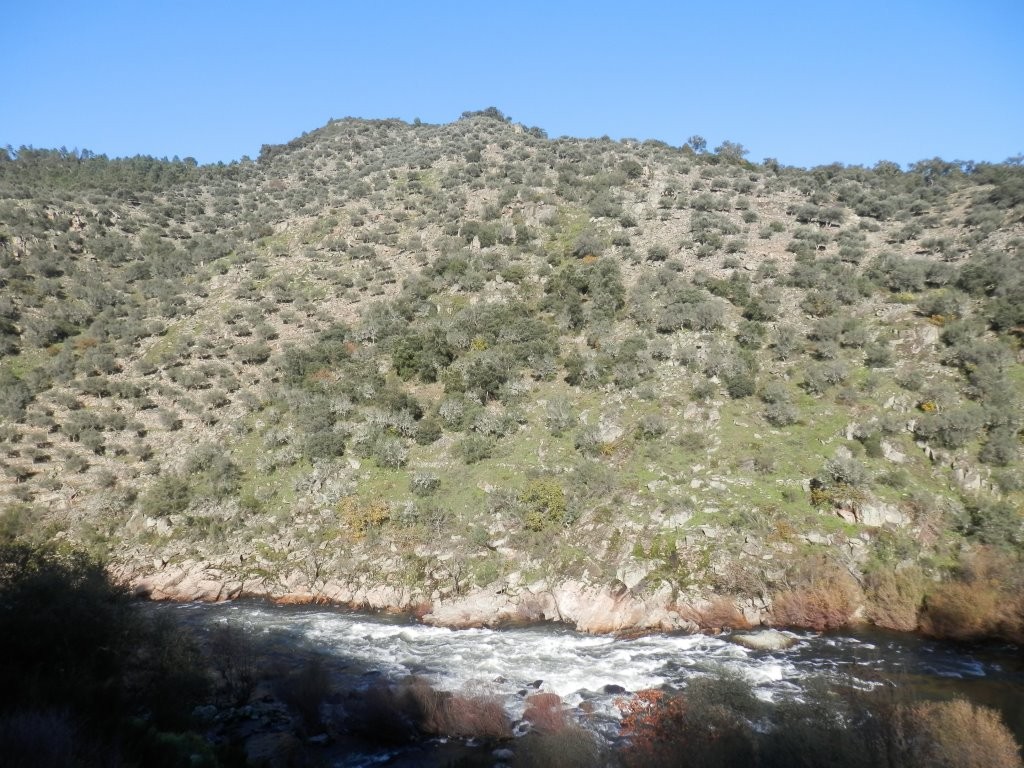 PC070861.JPG PC070861.JPG