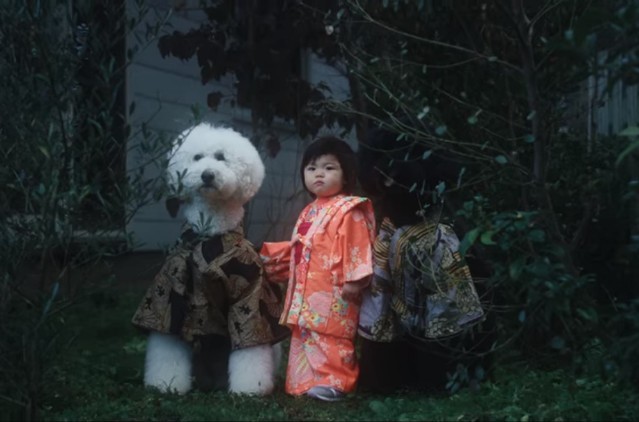 beck-fix-me-1516127119-640x422.jpg beck-fix-me-1516127119-640x422.jpg