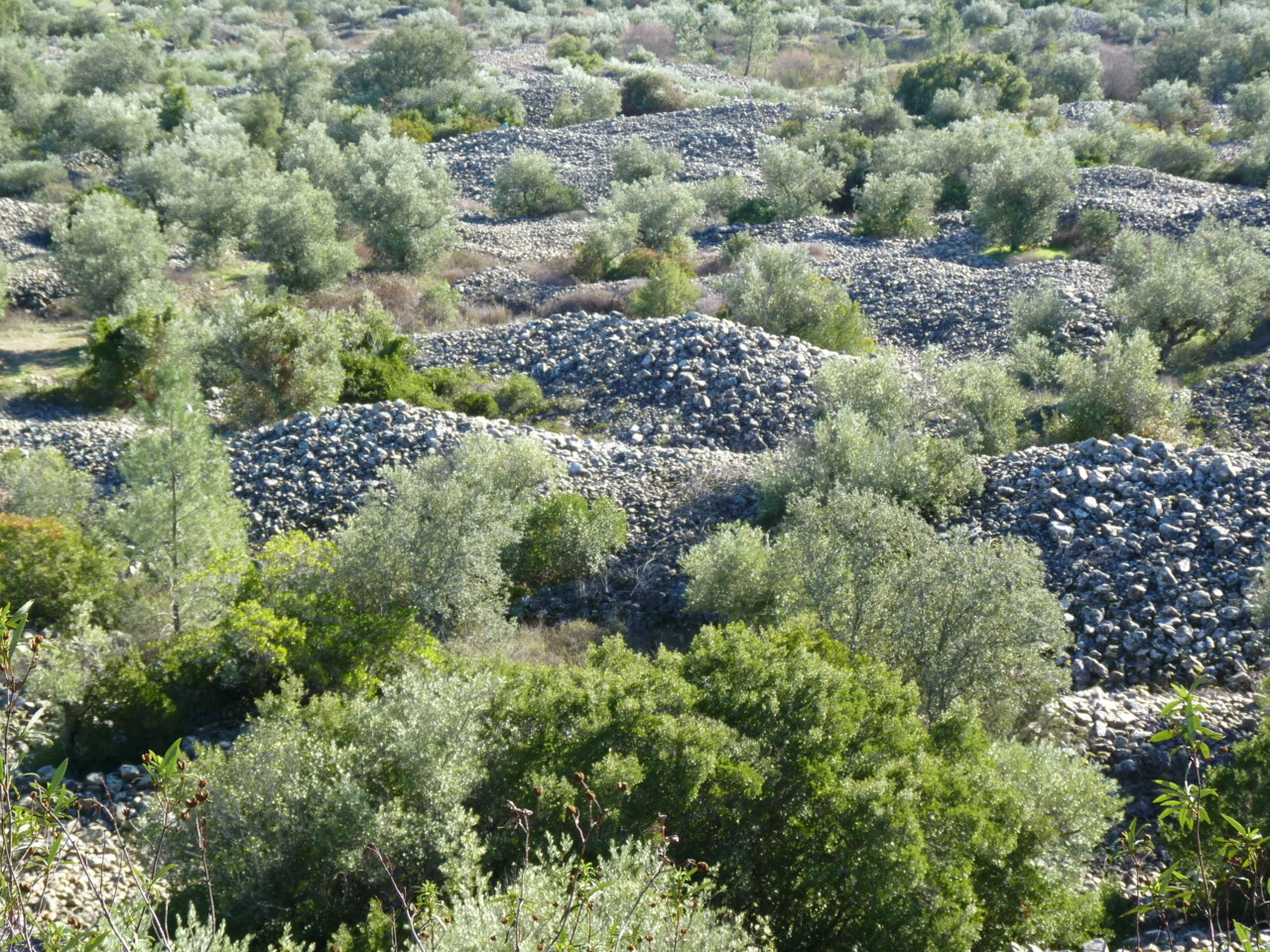 Trilho da mina de ouro do Conhal (13).JPG