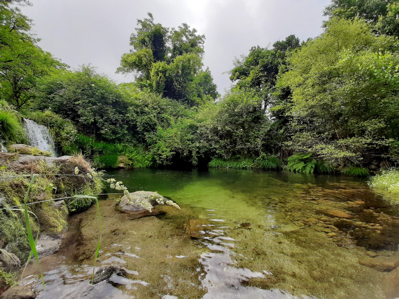 20200611_165329.jpg 20200611_165329.jpg