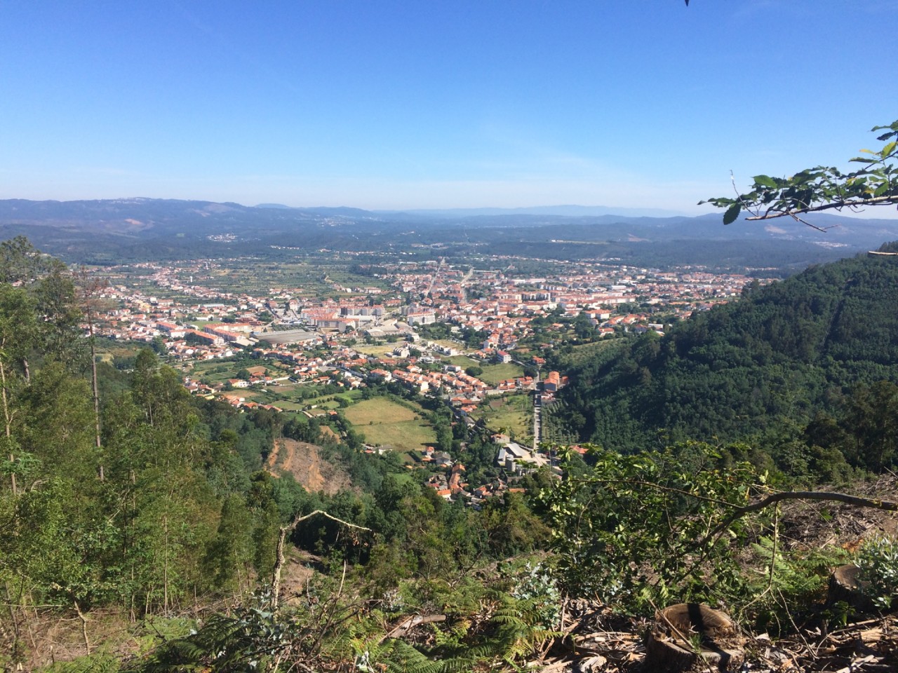 IMG_4954.JPG IMG_4954.JPG