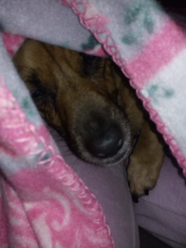 26238242_349326575540638_406903127_o.jpg 26238242_349326575540638_406903127_o.jpg