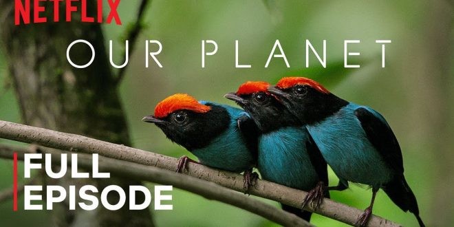 Netflix-docs-660x330.jpg Netflix-docs-660x330.jpg