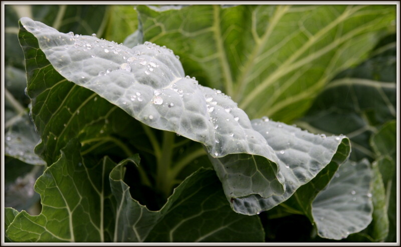 Chur e viagem 669.jpg