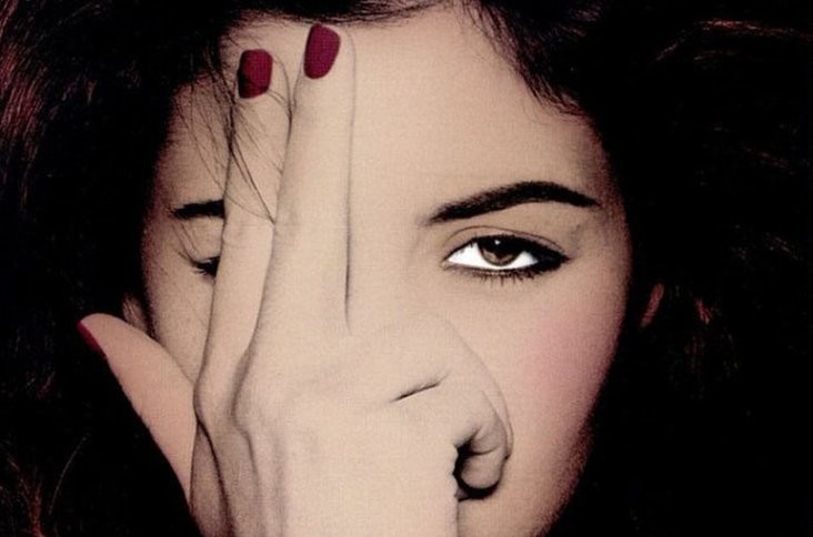 The_Family_Jewels_2.jpg The_Family_Jewels_2.jpg