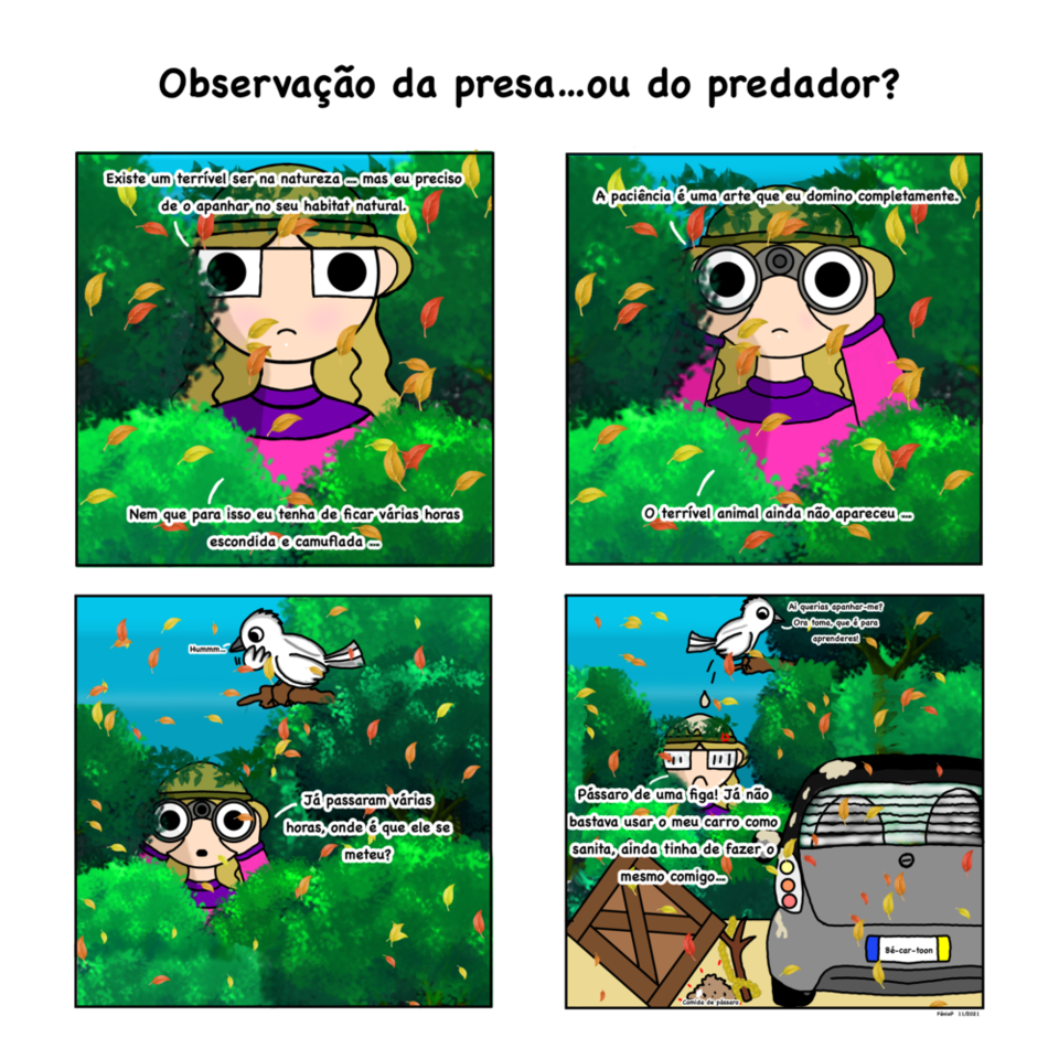 BD 17 da série de Outono.png