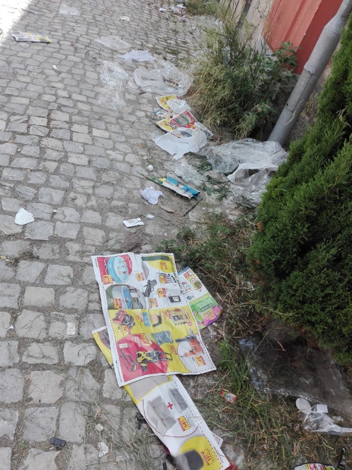 IMG_20180809_142459.jpg IMG_20180809_142459.jpg