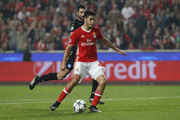 _JPT0952.jpg _JPT0952.jpg