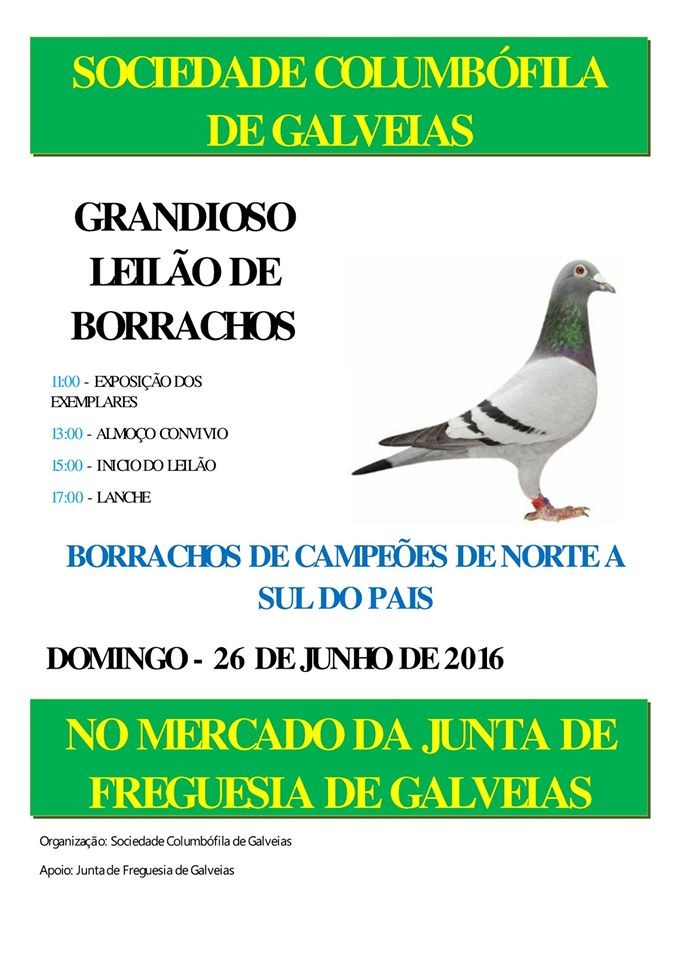 Leilão Galveias.jpg