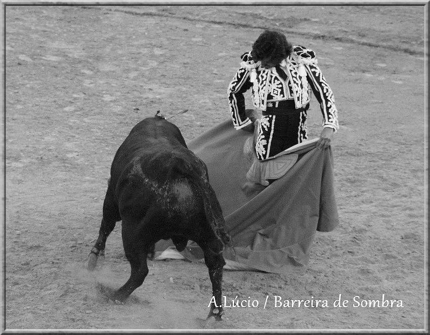 IMG_6595.JPG IMG_6595.JPG