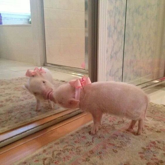 750ee8802affd17b766f957c712ed070.jpg 750ee8802affd17b766f957c712ed070.jpg