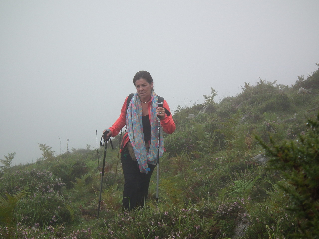 DSCF2969.JPG DSCF2969.JPG