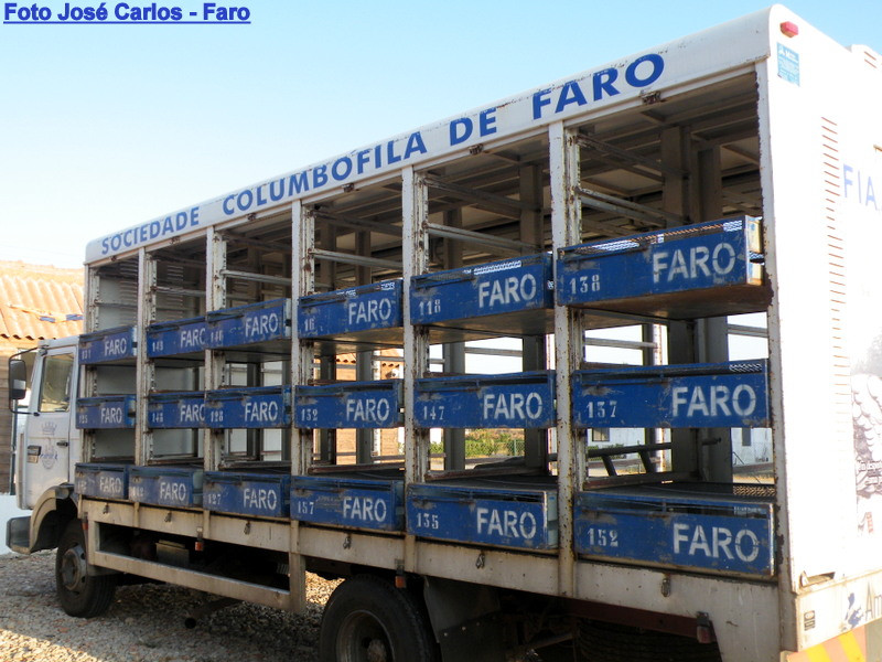 Derby Faro 2016 002.JPG