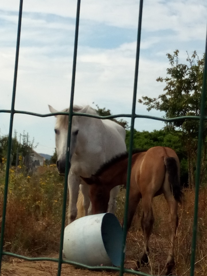 IMG_20180628_175047.jpg IMG_20180628_175047.jpg