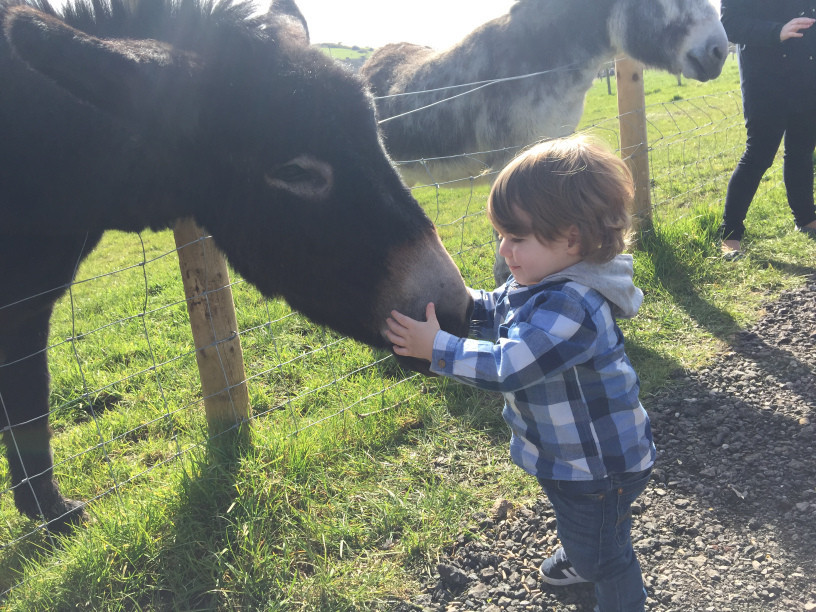 20170326_131650234_ios.jpg 20170326_131650234_ios.jpg