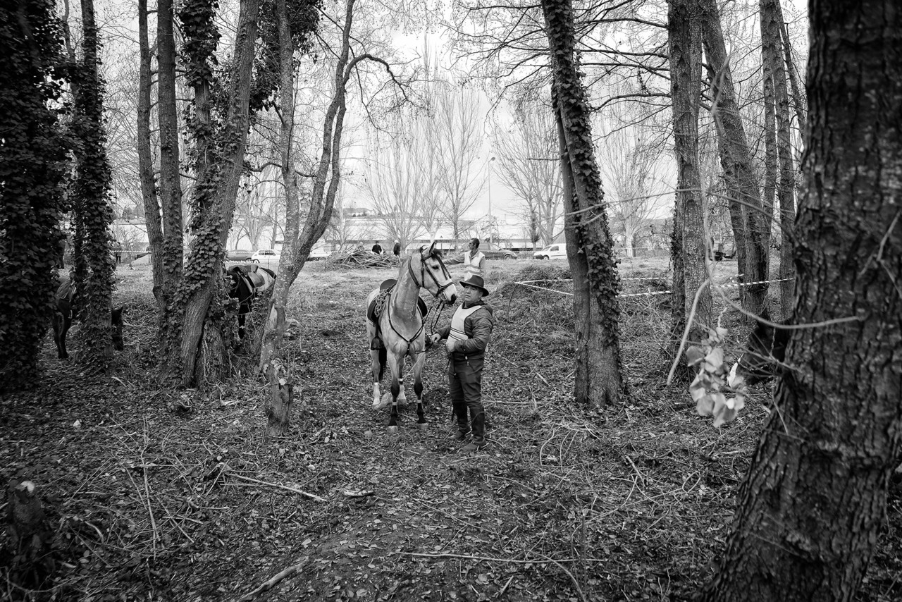 DSCF1749 - cópia copy.jpg