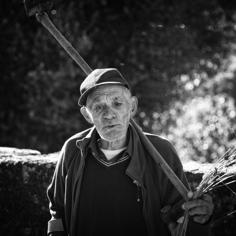 _JMF1614 - cópia copy.jpg _JMF1614 - cópia copy.jpg