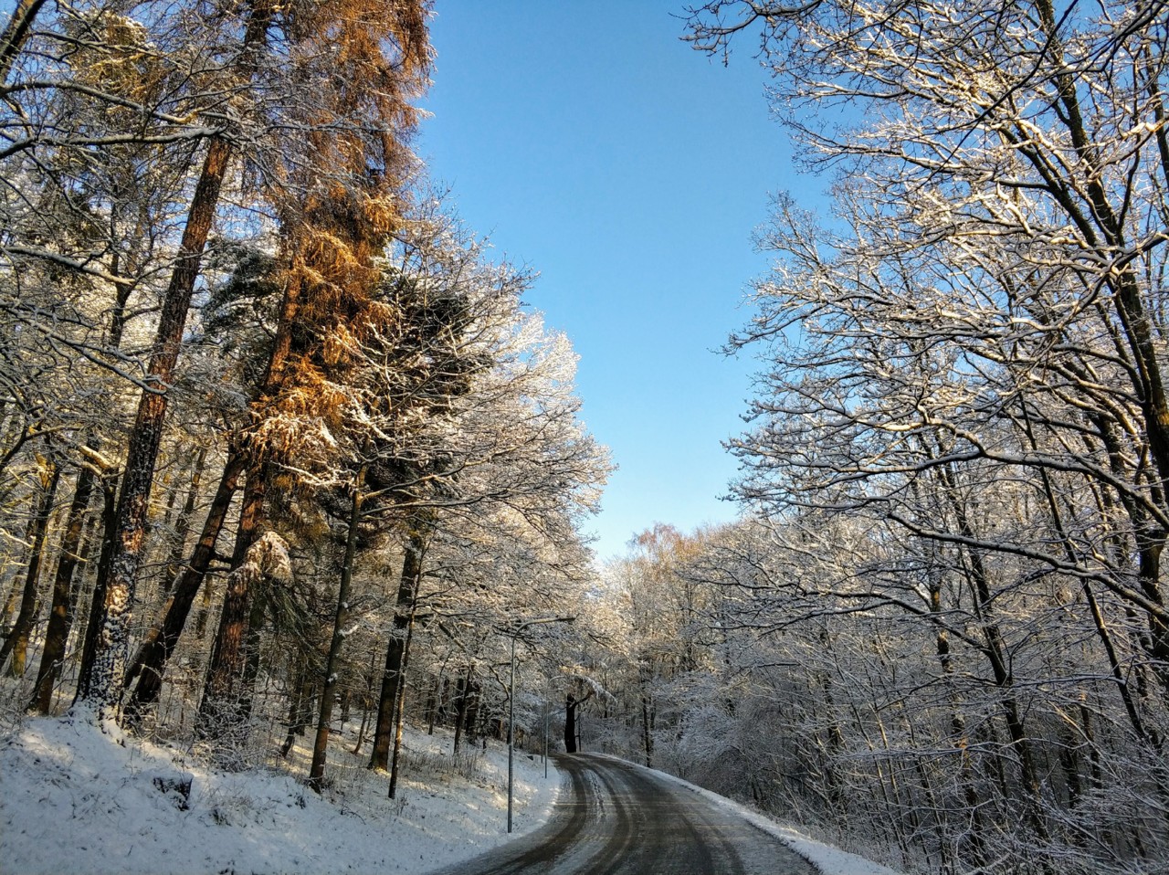 Sol e neve em Estocolmo.jpg