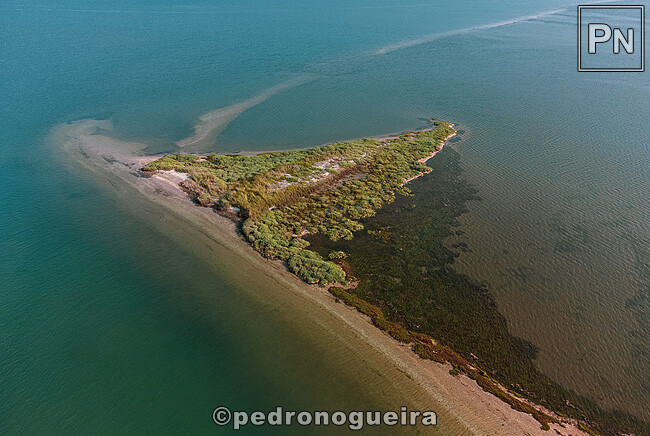 M2_Jun_2022 001b 650px.jpg