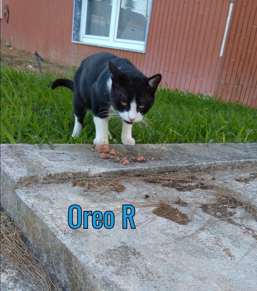 SquarePic_20190828_17344273.jpg SquarePic_20190828_17344273.jpg