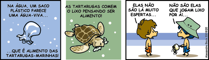 os pássaros não são estúpidos.png