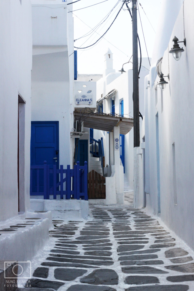 IMG_5818_net.jpg IMG_5818_net.jpg