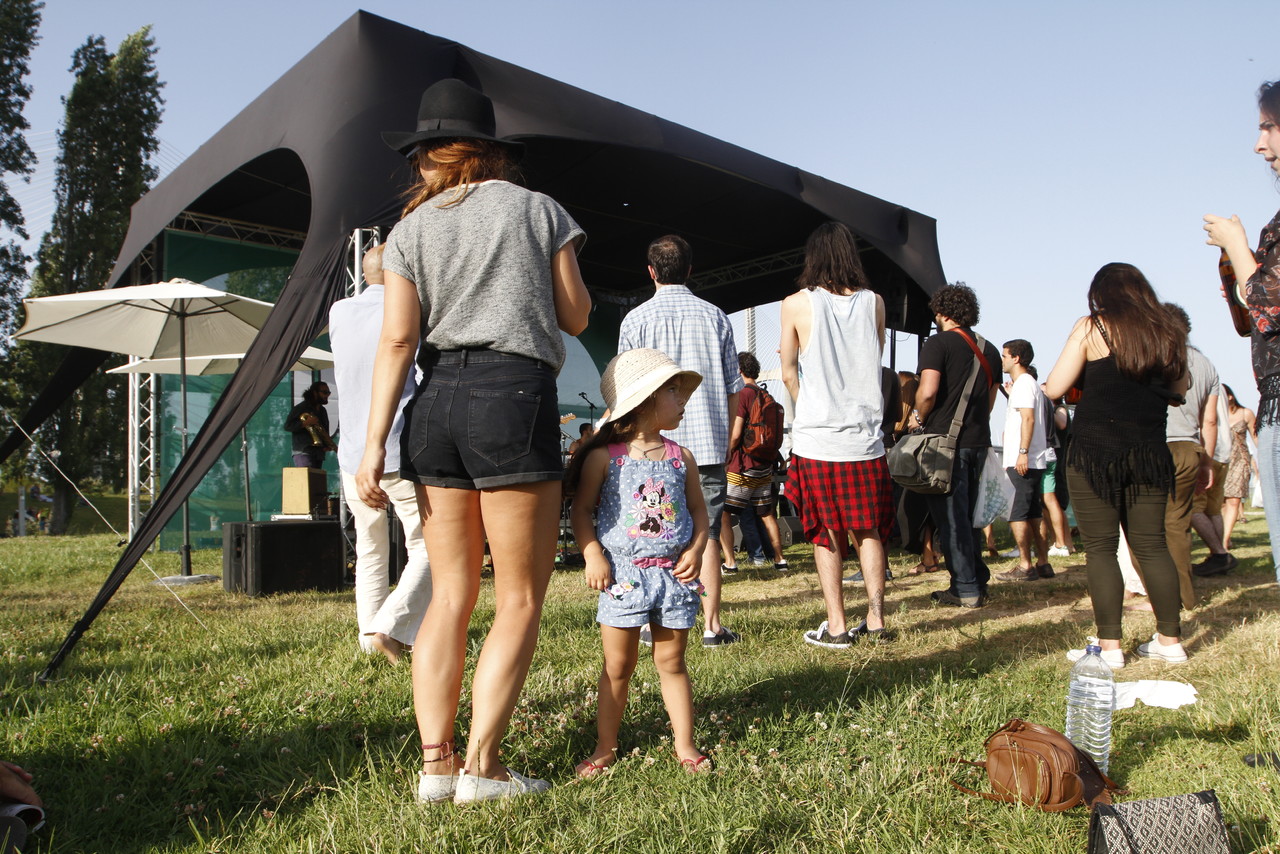 _MG_3550.JPG _MG_3550.JPG