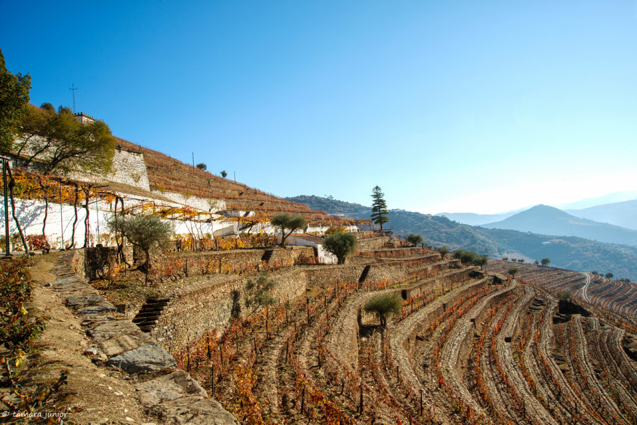 2017.- Pelo Douro no outono II (500).jpg 2017.- Pelo Douro no outono II (500).jpg