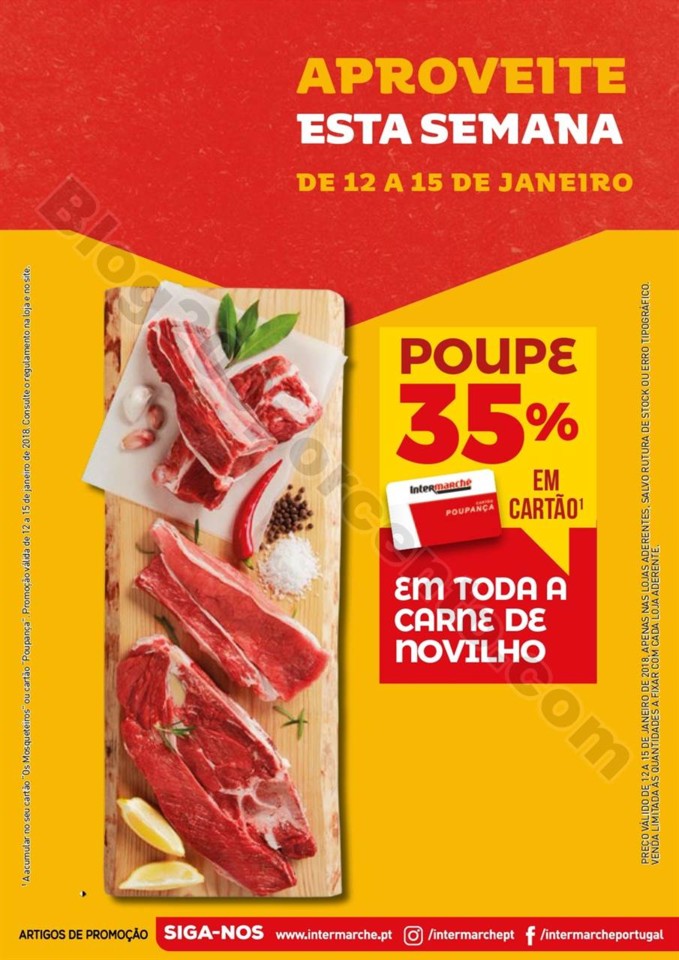 novilho 1.jpg