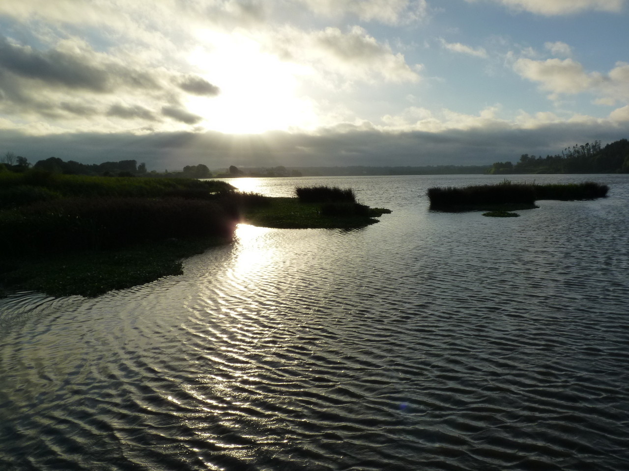 Pateira de Fermentelos (10).JPG