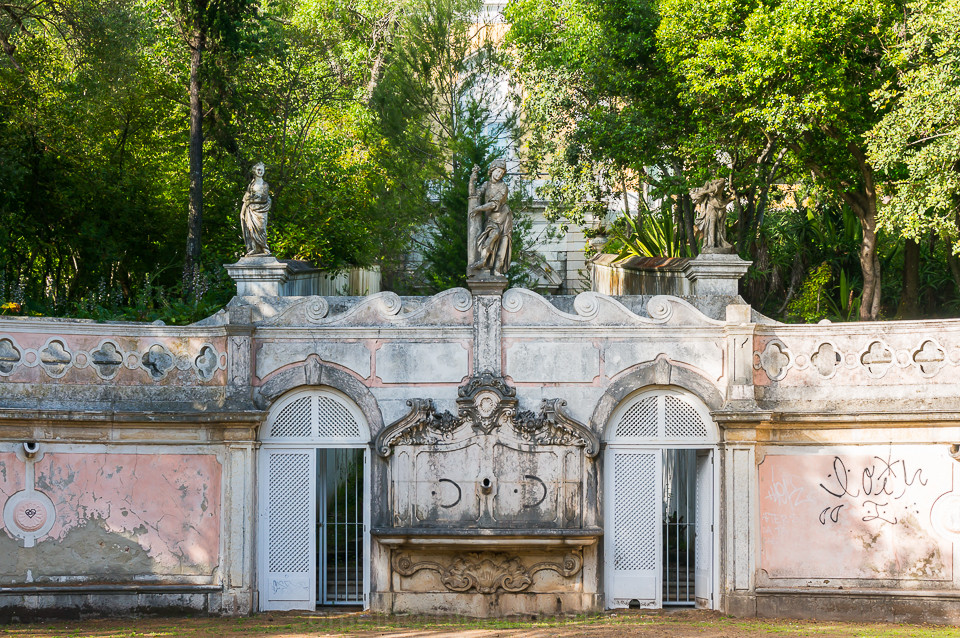 DSC02581.jpg DSC02581.jpg