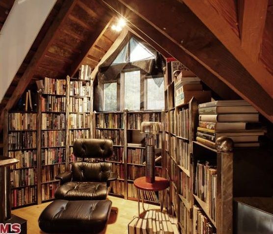 4293b30869cc324ce2128ab6b81e0390--attic-library-dr