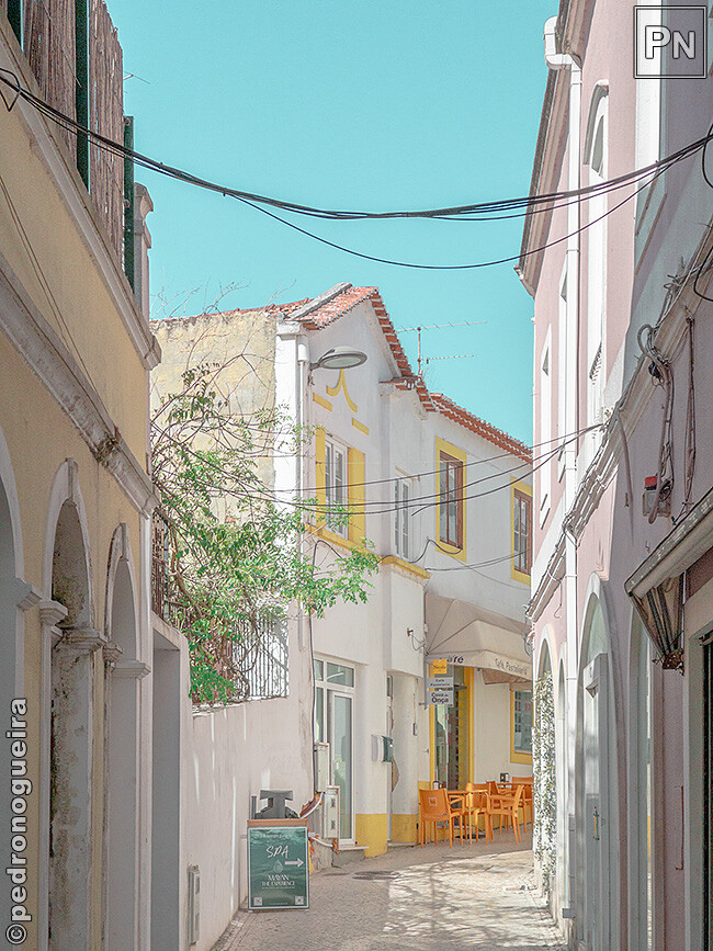 Jul_2023_014 650px.jpg