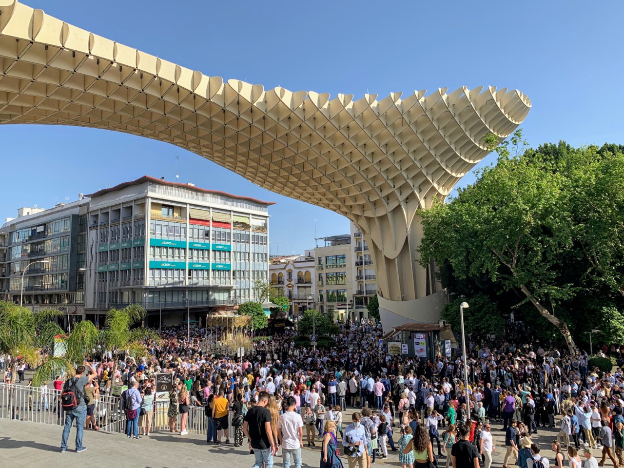 Setas de Sevilha.jpeg