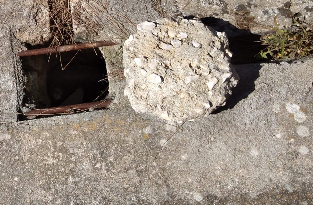 SquarePic_20200524_12101915.jpg SquarePic_20200524_12101915.jpg