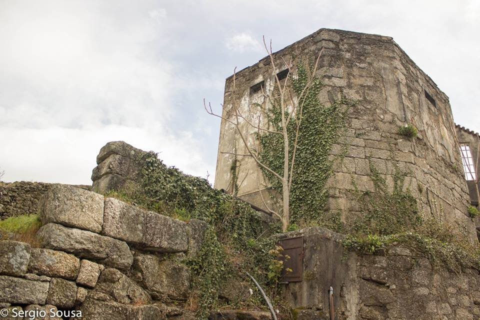 13087404_10208251343614992_8599113807738071265_n.j