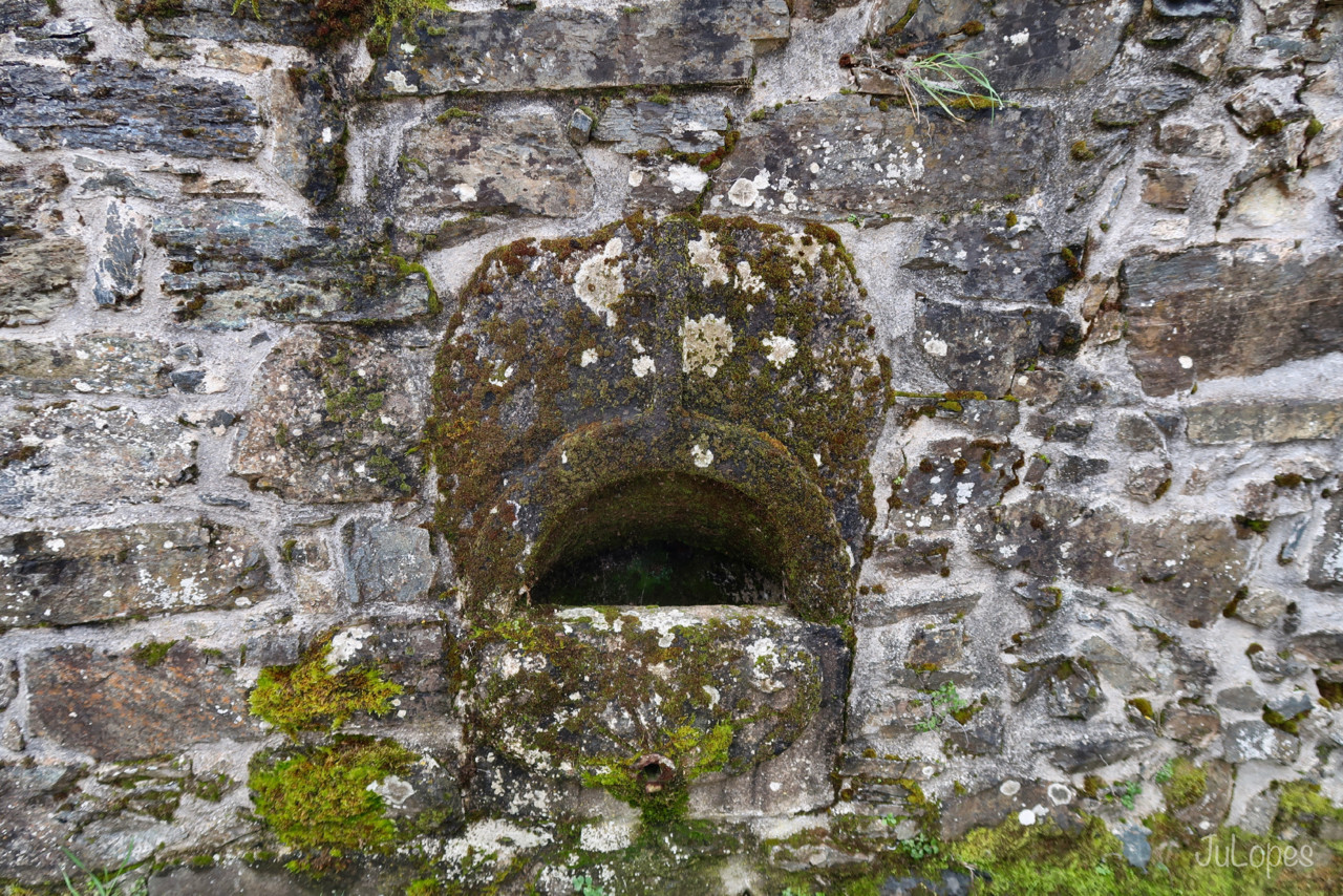 IMG_0123.jpg IMG_0123.jpg