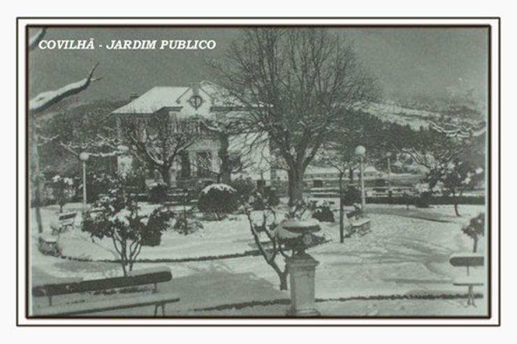 740.......500x500 (23).png 740.......500x500 (23).png