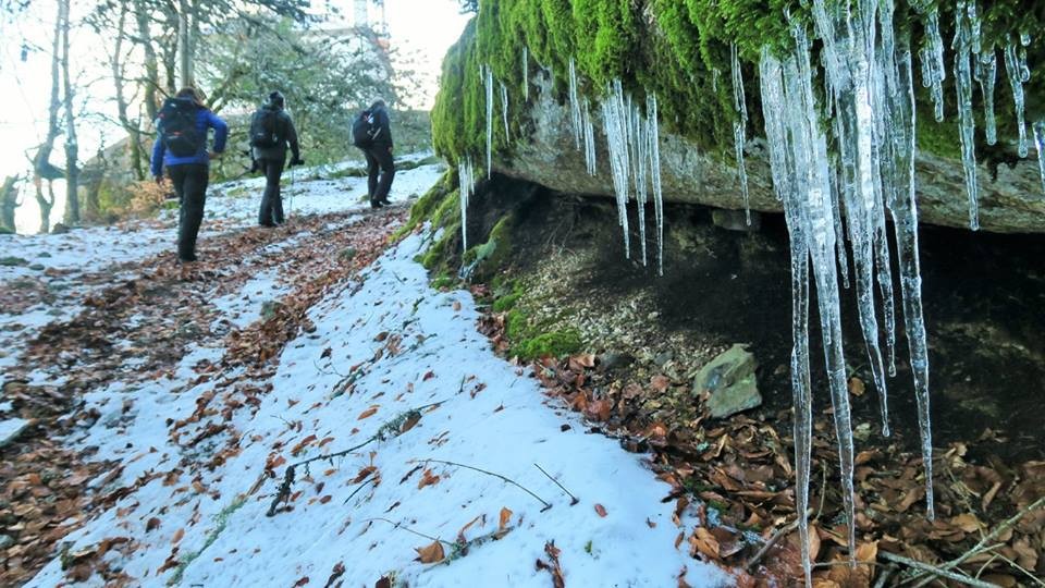 26993852_1833600236651070_8998009946314986234_n.jp