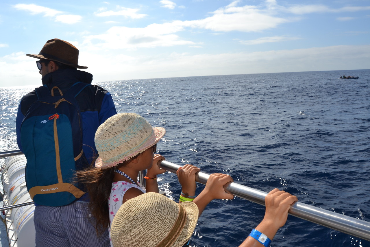 DSC_0701.JPG DSC_0701.JPG