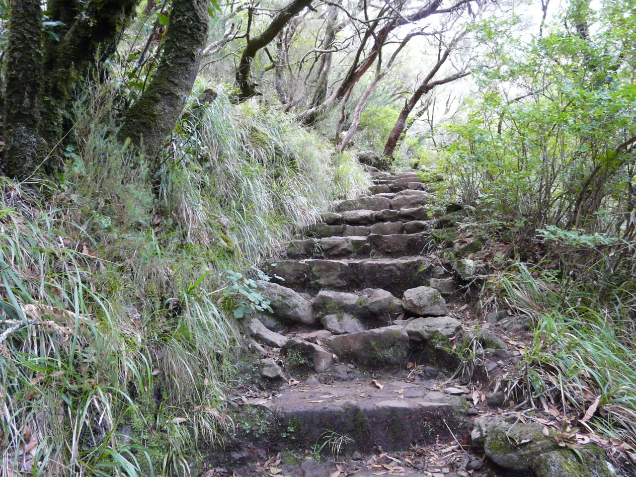 25 Fontes (17).jpg 25 Fontes (17).jpg